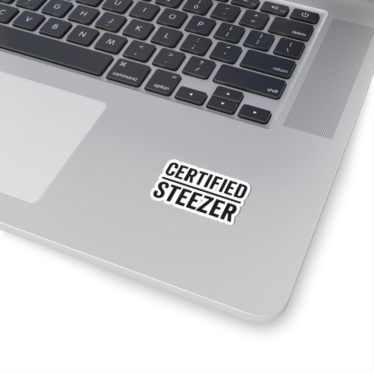 Certified Steezer Sticker